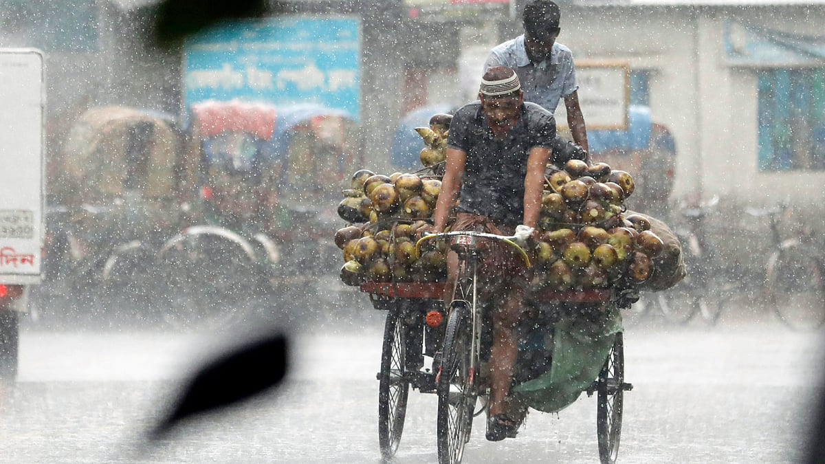 ফাইল ছবি