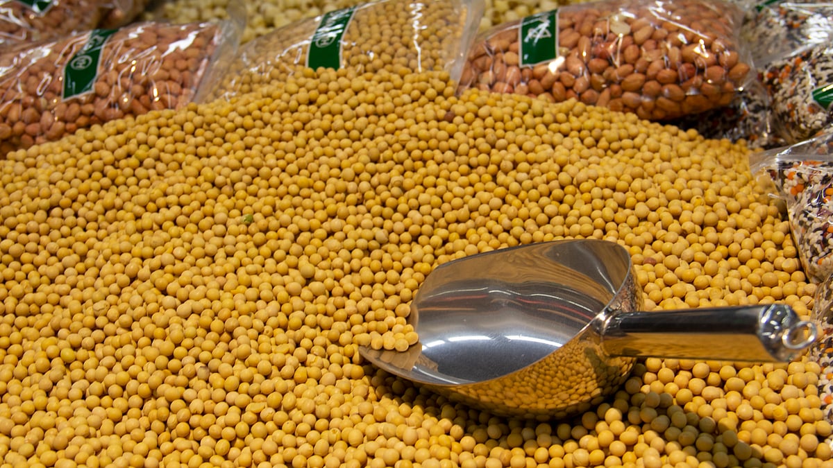 ছবি: উইকিপিডিয়া