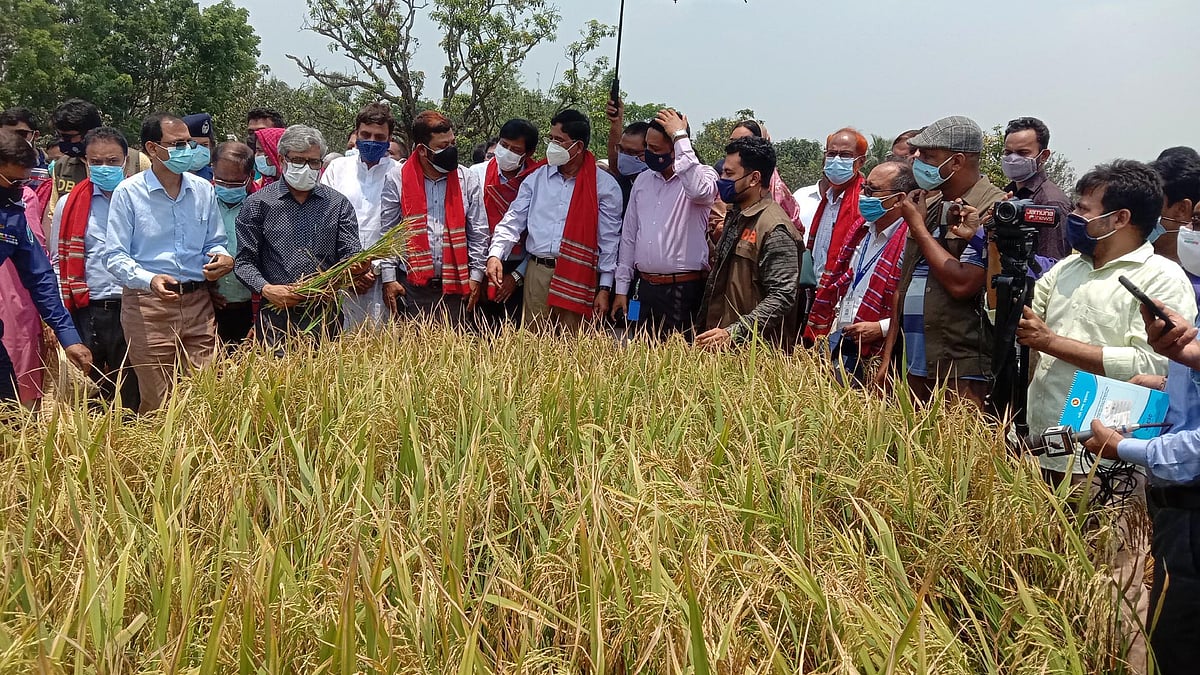 ছবি: প্রথম আলো