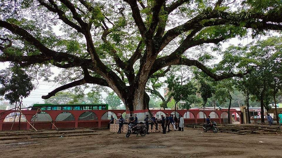 ছবি: প্রথম আলো