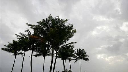 রয়টার্স ফাইল ছবি। 