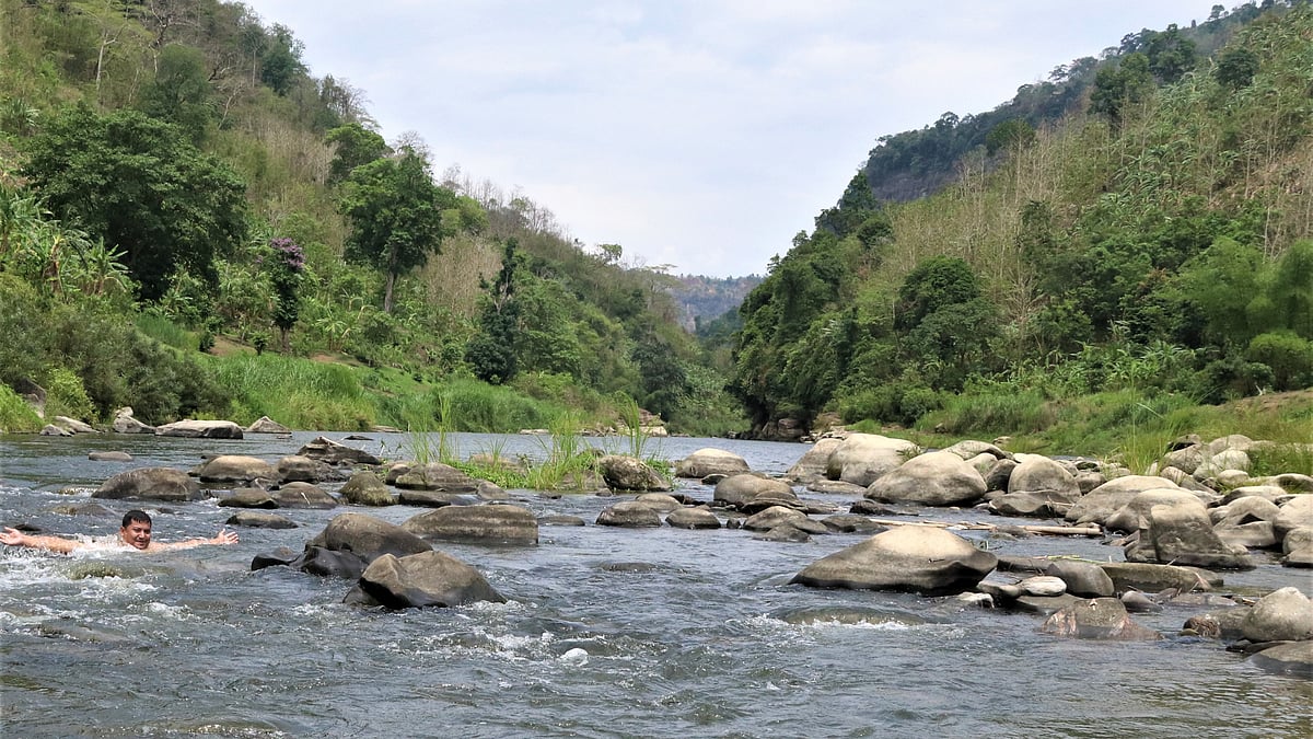 ফাইল ছবি