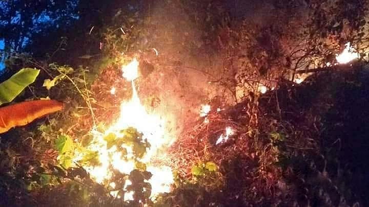 ফাইল ছবি