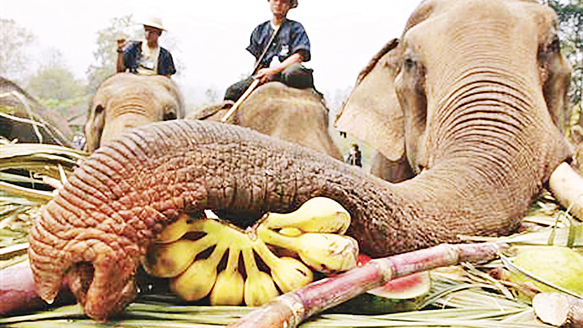 প্রতীকী ছবি।  রয়টার্স 