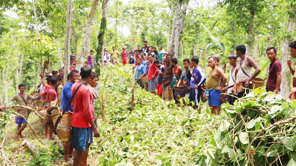 ছবি: প্রথম আলো