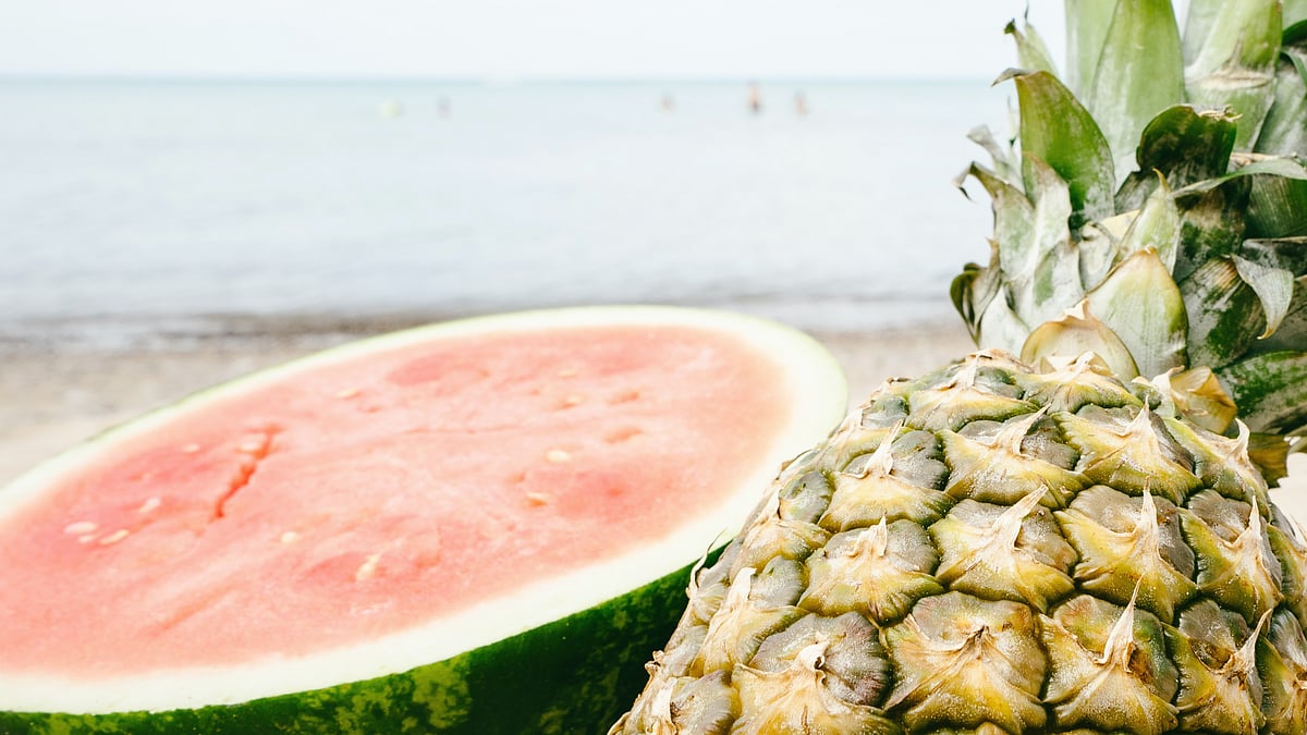 ছবি: এনগিন আকিউরট, পেকজেলসডটকম