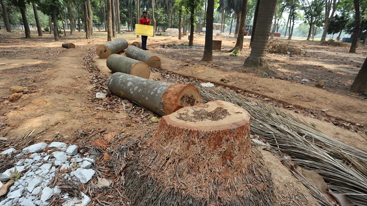 ছবি প্রথম আলো