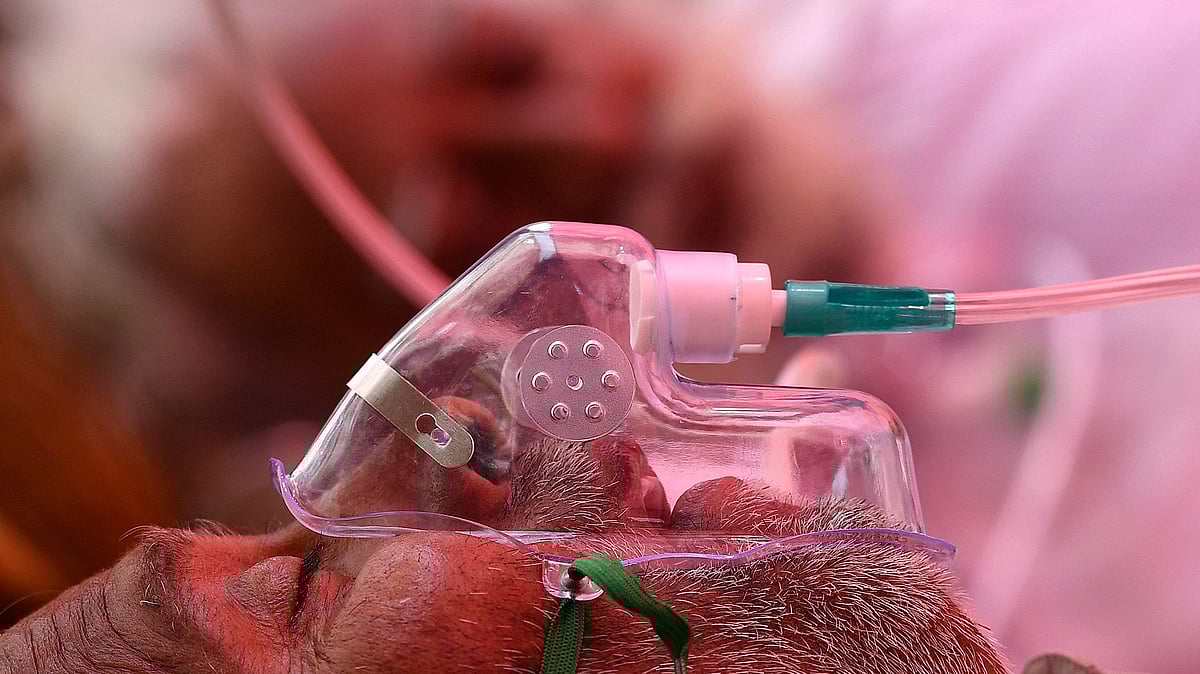 ছবি: এএফপি