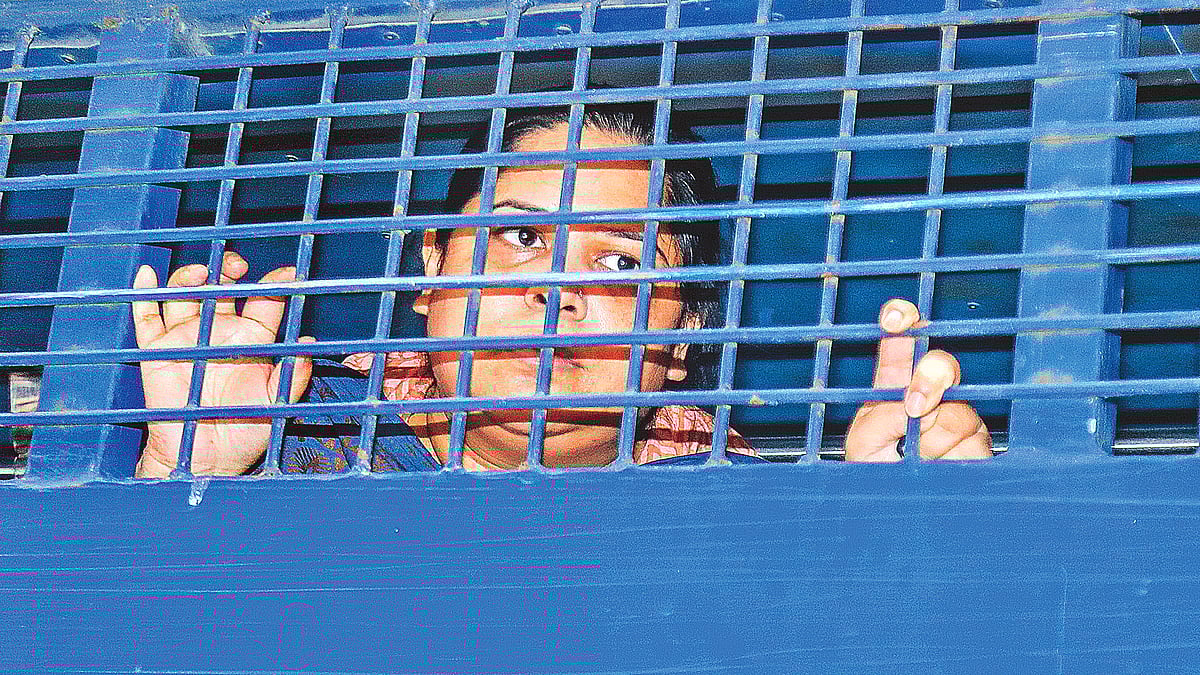 ছবি: সাজিদ হোসেন। ফাইল ছবি