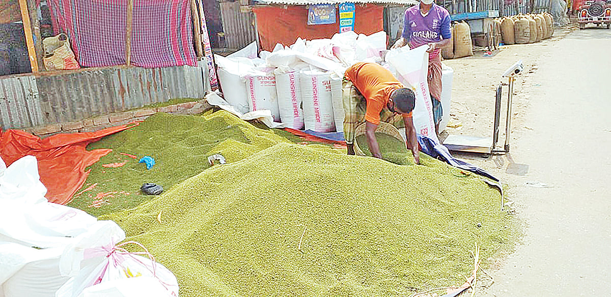 ছবি: প্রথম আলো