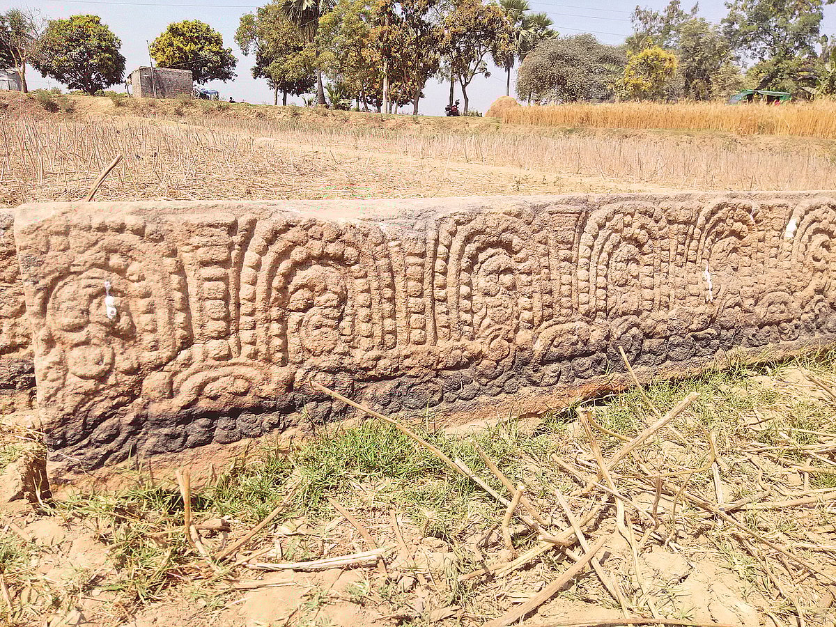 ছবি: প্রথম আলো