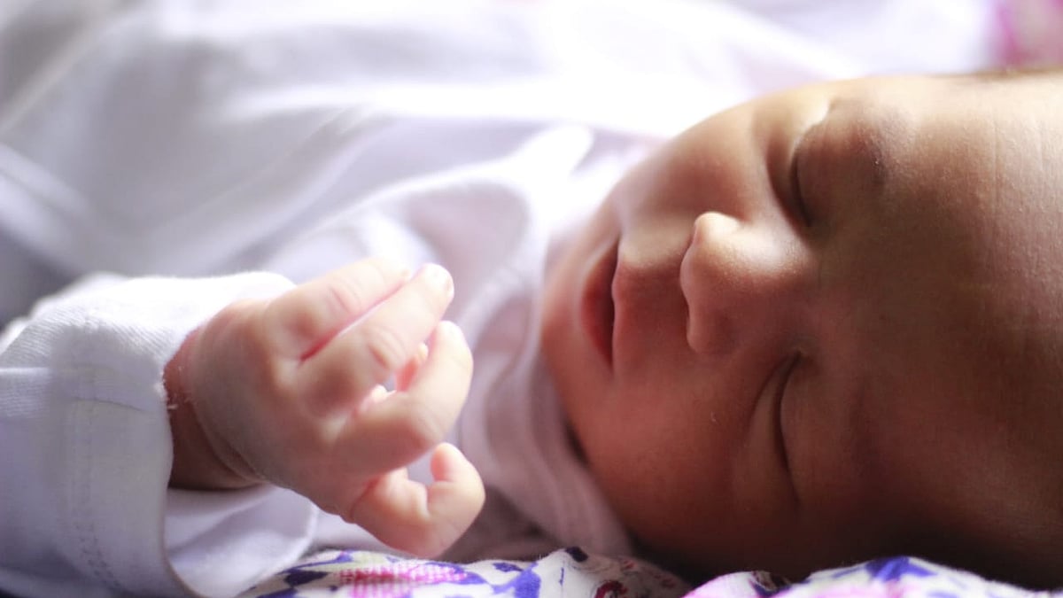 ছবি: অনির্বান