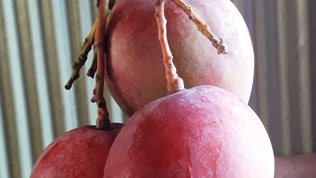  ছবি: প্রথম আলো