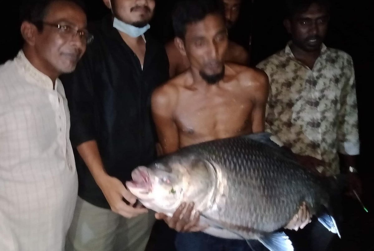 ছবি: প্রথম আলো