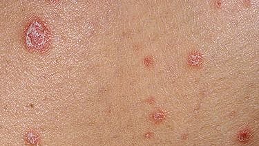 ছবি: প্রথম আলো