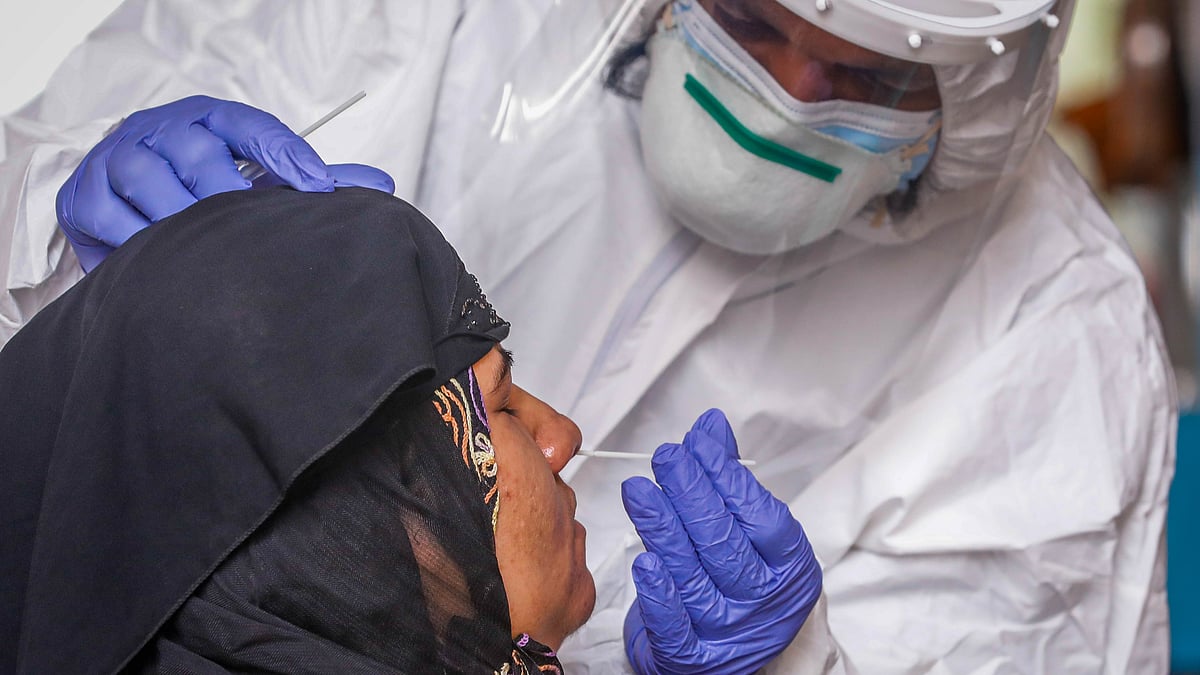 ফাইল ছবি: প্রথম আলো