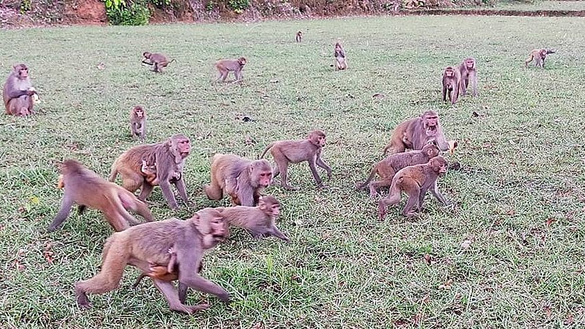 প্রথম আলো