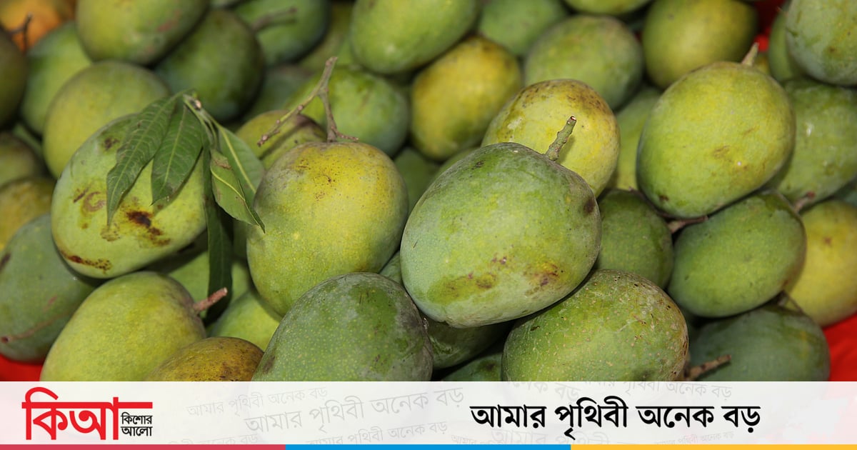 হিমসাগর আর ক্ষীরশাপাতি কি একই আম হিমসাগর আর ক্ষীরশাপাতি কি একই আম