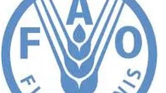 ছবি: জাতিসংঘ