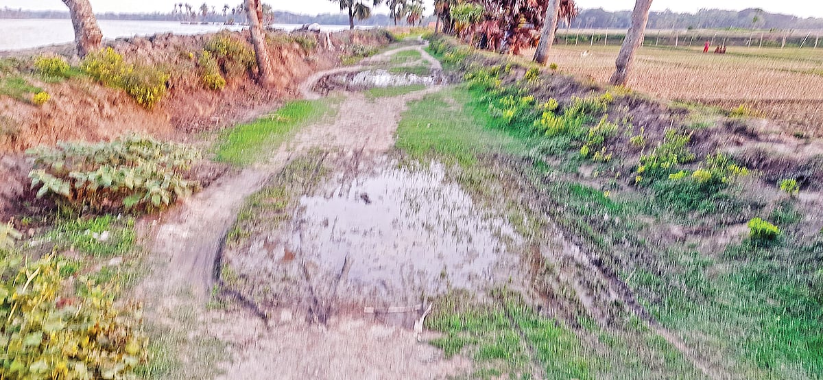 ছবি: প্রথম আলো  