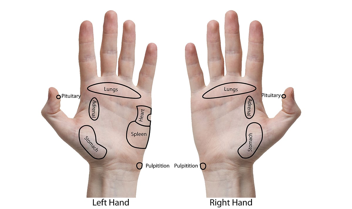 হার্ট ভালো রাখতে এসব পয়েন্টে আকুপ্রেশার করতে হবে