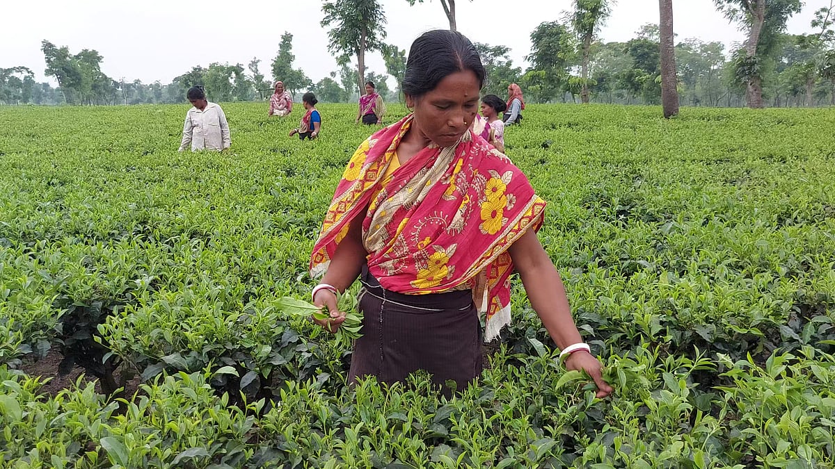 ছবি: প্রথম আলো 