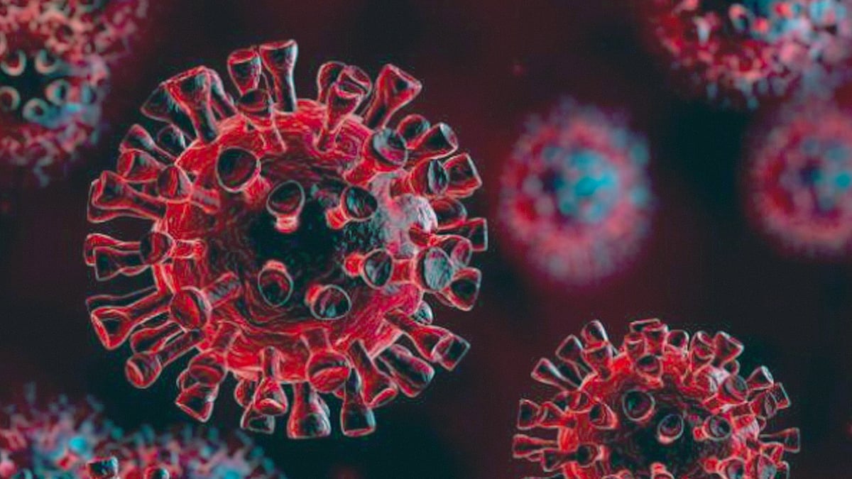 প্রতীকী ছবি 