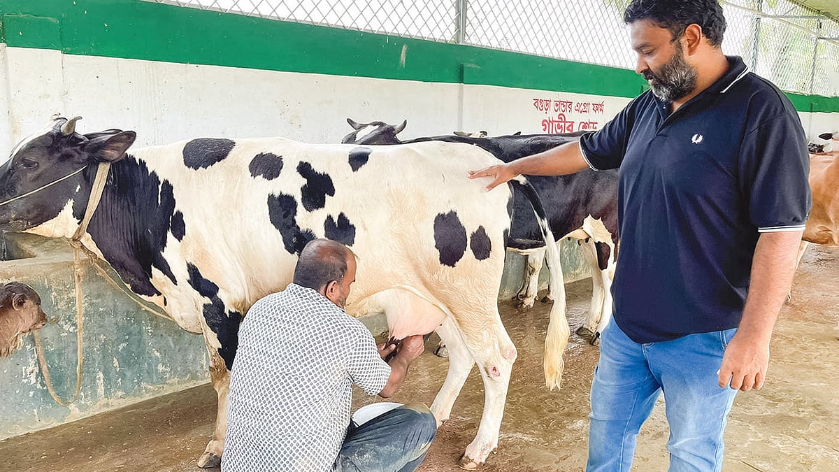 ছবি: ছুটির দিনে