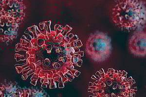 প্রতীকী ছবি