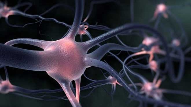 প্রতীকী ছবি: রয়টার্স।