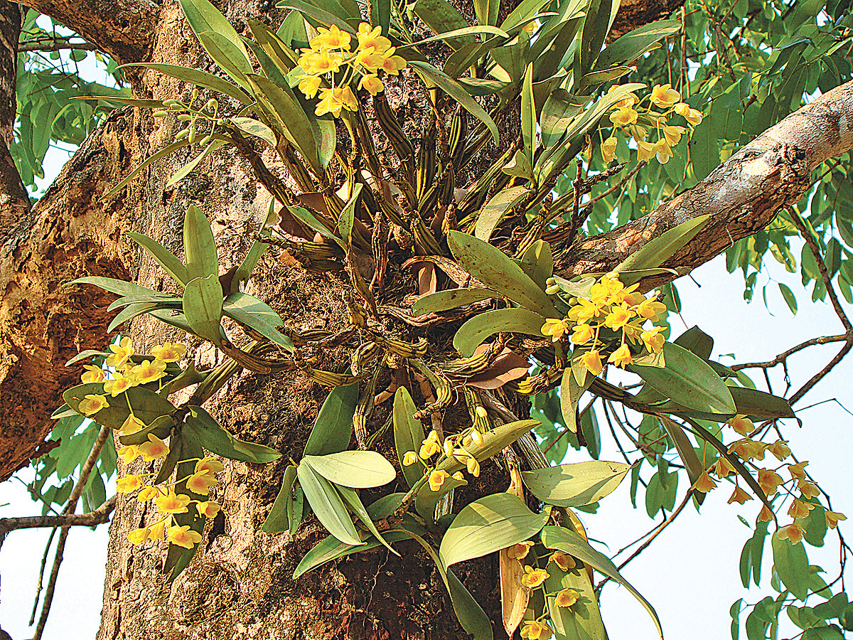 ছবি: লেখক