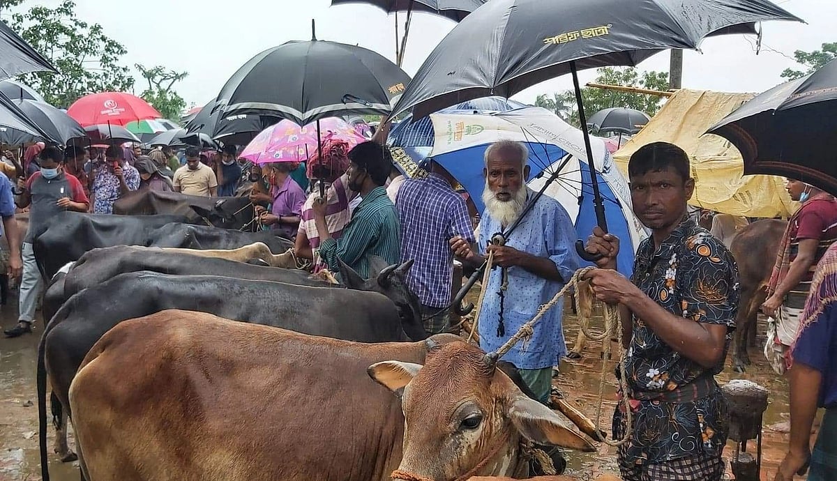 ছবি: প্রথম আলো 