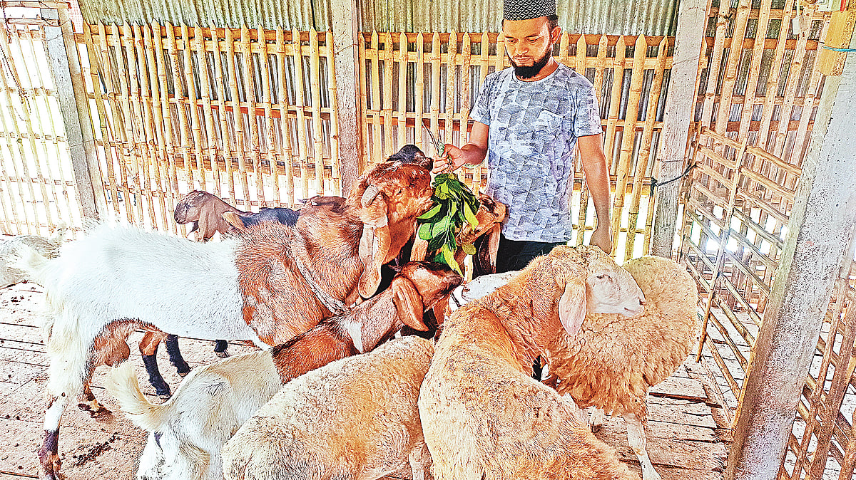 ছবি: প্রথম আলো