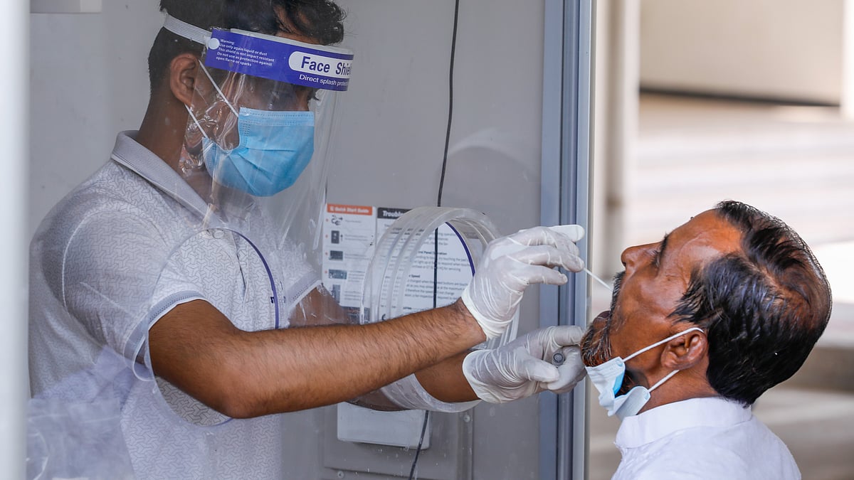 ফাইল ছবি: প্রথম আলো