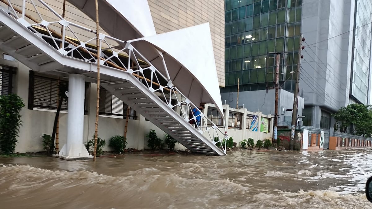 ছবি: প্রথম আলো