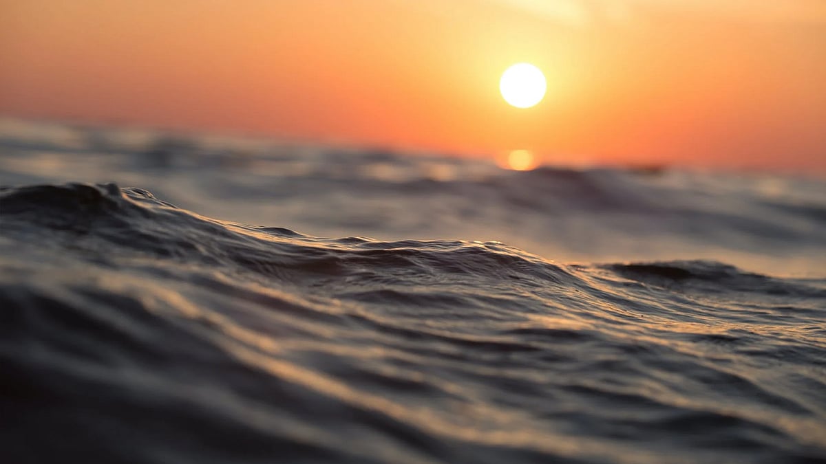 পেক্সেলস