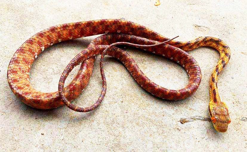 ছবি: প্রথম আলো