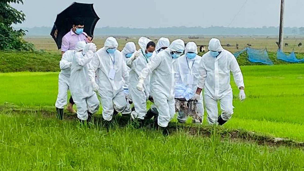 ছবি: প্রথম আলো