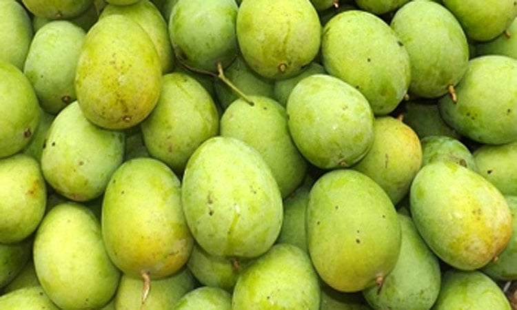 প্রতীকী ছবি