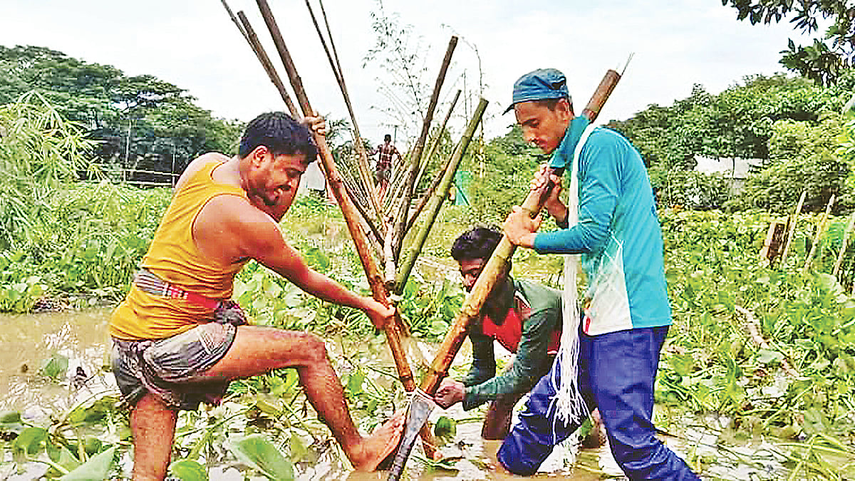   ছবি: প্রথম আলো 
