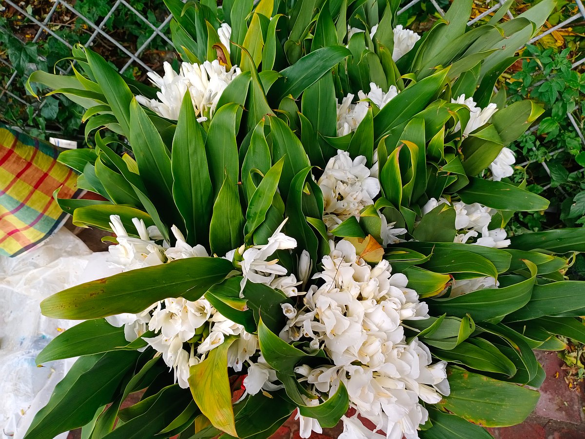 ছবি: সাদিয়া মাহ্জাবীন ইমাম