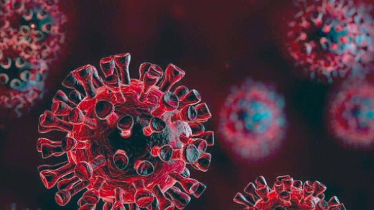 প্রতীকী ছবি