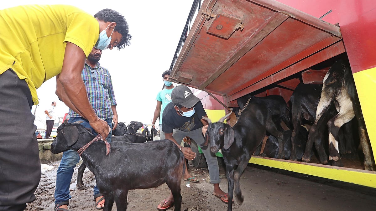 ছবি: প্রথম আলো
