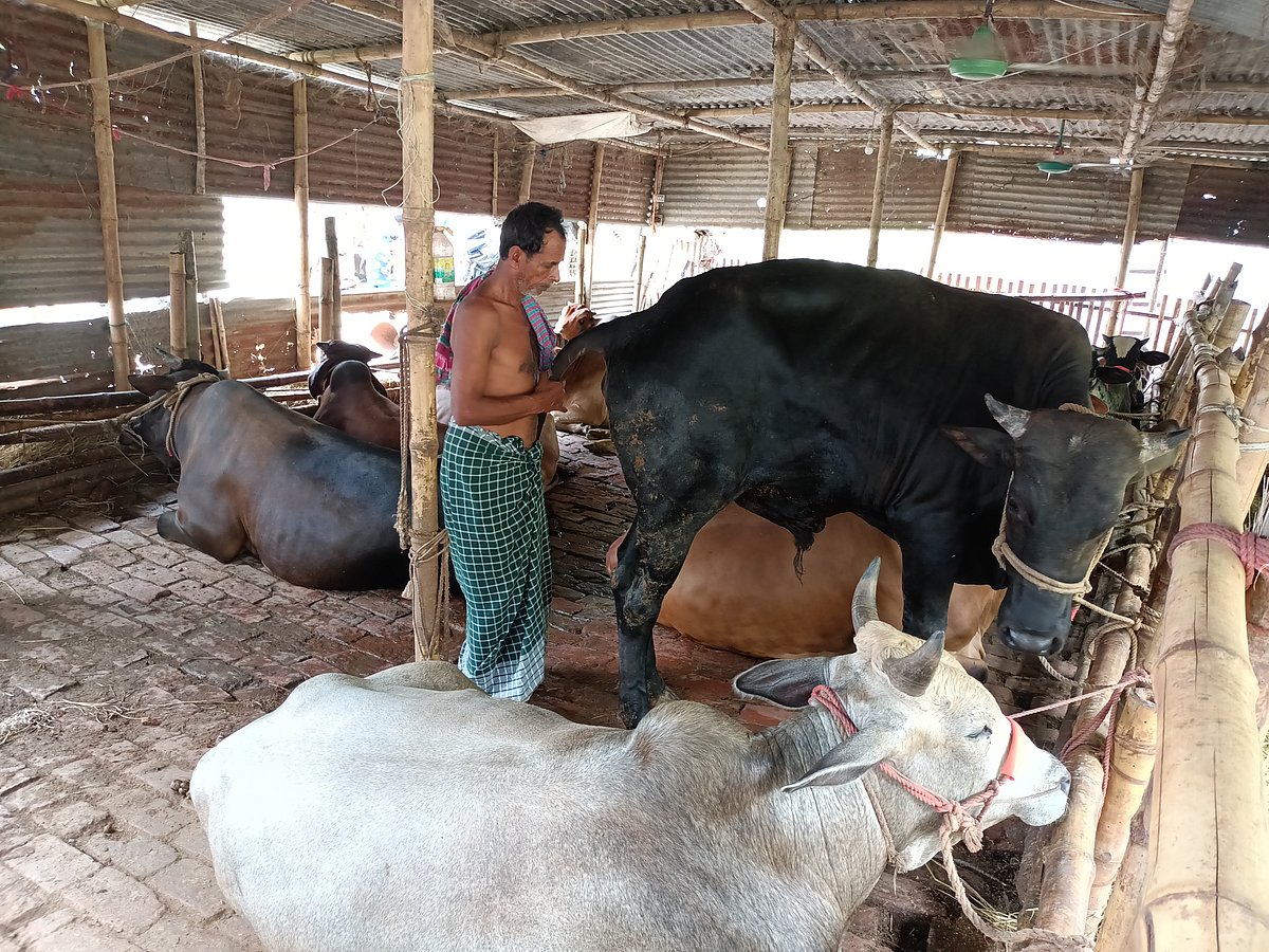 ছবি: প্রথম আলো