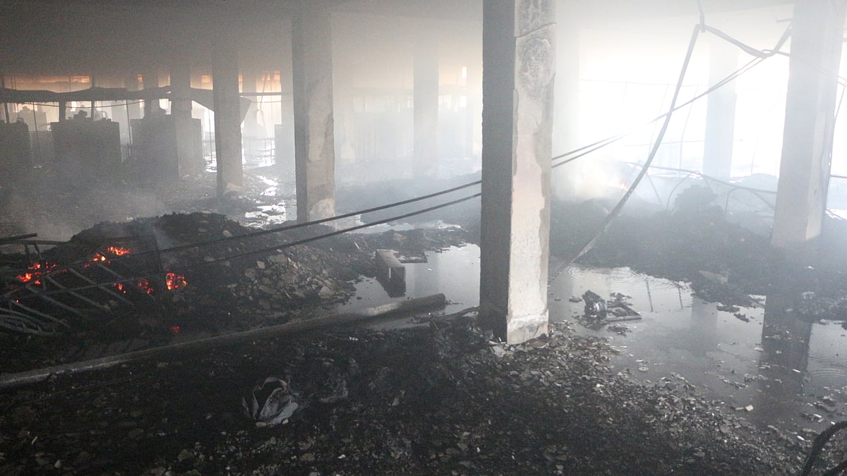 ছবি : দিনার মাহমুদ