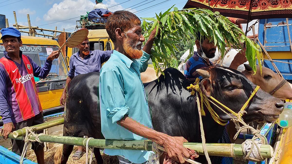 ছবি: এম রাশেদুল হক
