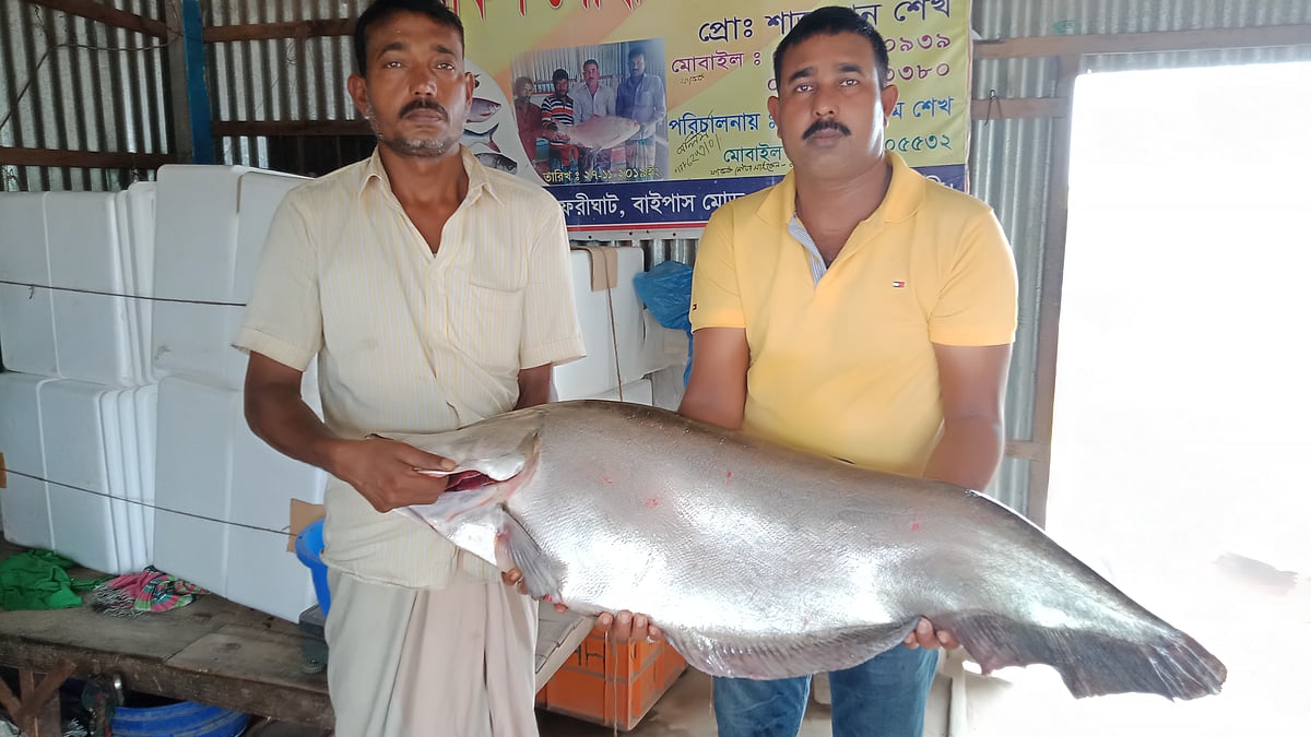 ছবি: এম রাশেদুল হক