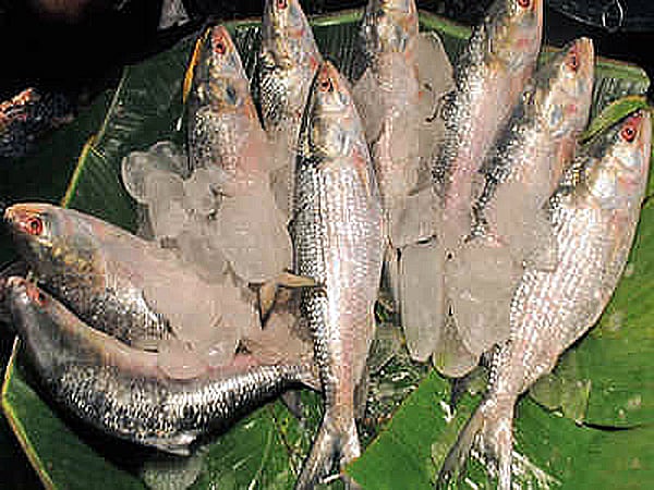 ছবি: ভাস্কর মুখার্জি