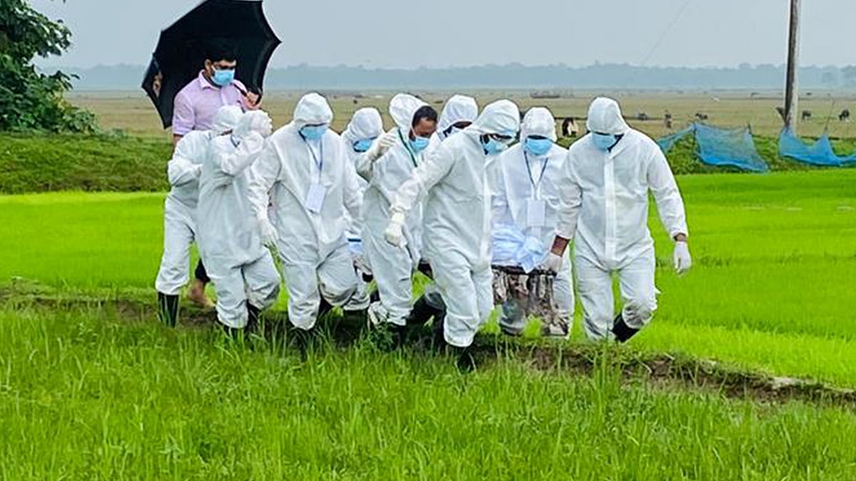 প্রতীকী ছবি