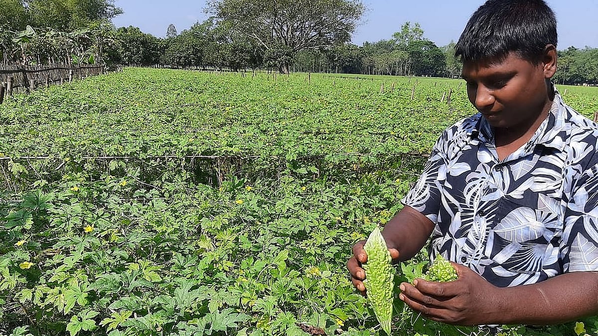 ফাইল ছবি। 